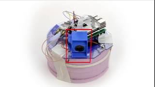 Eclipse Payloads Explained