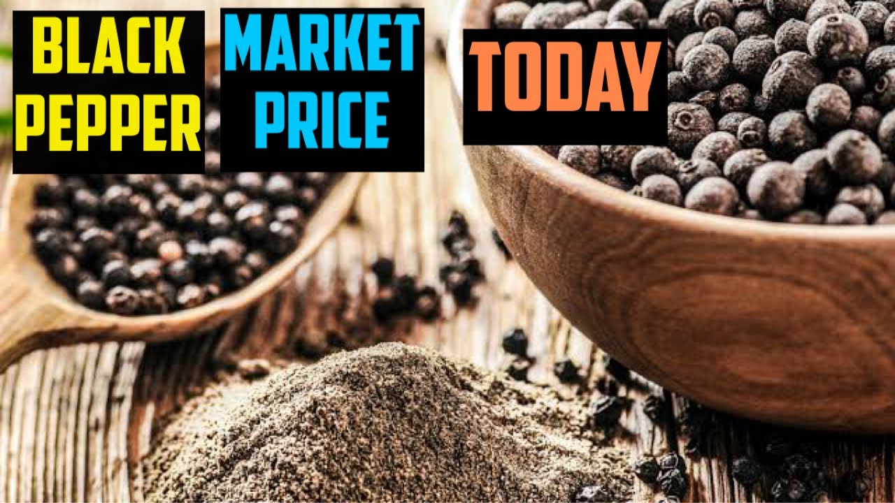 BLACK PEPPER INDIAN SPOT MARKET RATE TODAY 01 JANUARY 2023 YouTube
