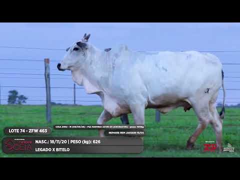 LOTE 74 ZFW 463