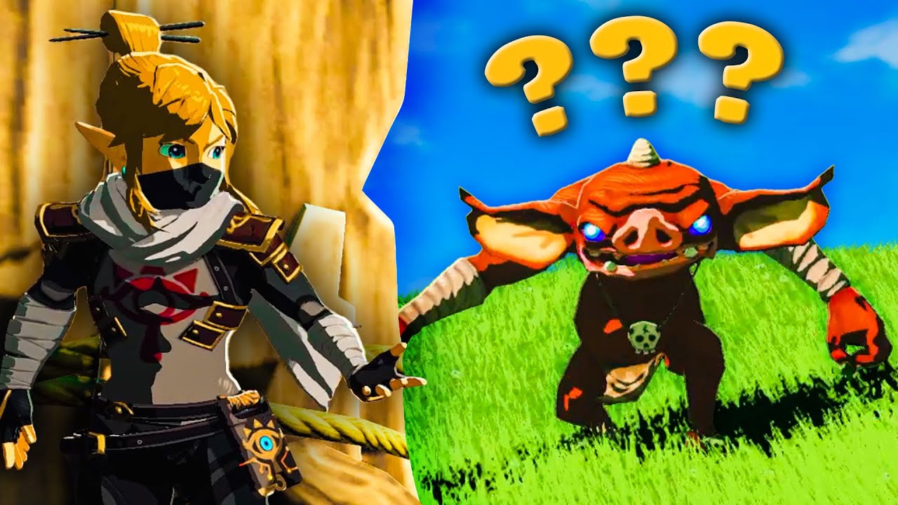 BotW, aber ich darf nicht gesehen werden