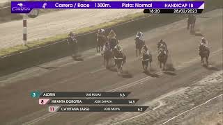 Vidéo de la course PMU PRIX MIGLIORE