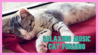 10 hours of relaxing music with the sounds of cat purring by I_am_ cat 230 views 1 year ago 10 hours, 1 minute