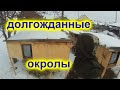 Долгожданные окролы. Очередные новости !!!