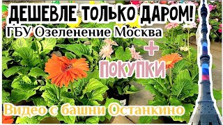 :        +  .    
