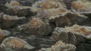 Festival celebrates local seafood industry by WWLTV 224 views 1 day ago 2 minutes, 54 seconds