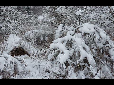 Video: Je, matairi ya majira ya baridi yenye rimu yanagharimu kiasi gani?