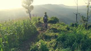 Story WA ' GOWES DI GUNUNG '