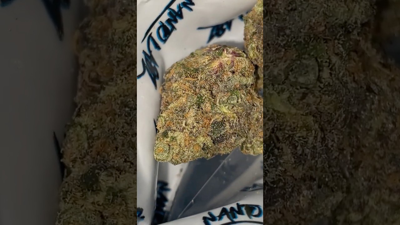 RAINBOW ZANGRIA  🧑‍🌾 NANTO LABZ 🧑‍🌾