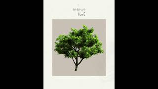 Real Tree Cliparts - field maple - photoshop overlays png, Tree layout, transparent background