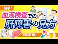 【簡単!】血液検査での肝障害の見方【肝障害編】【医師解説】