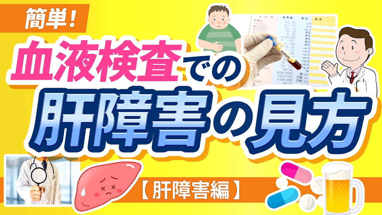 【簡単!】血液検査での肝障害の見方【肝障害編】【医師解説】