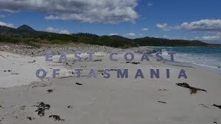 East Coast of Tasmania - Bicheno