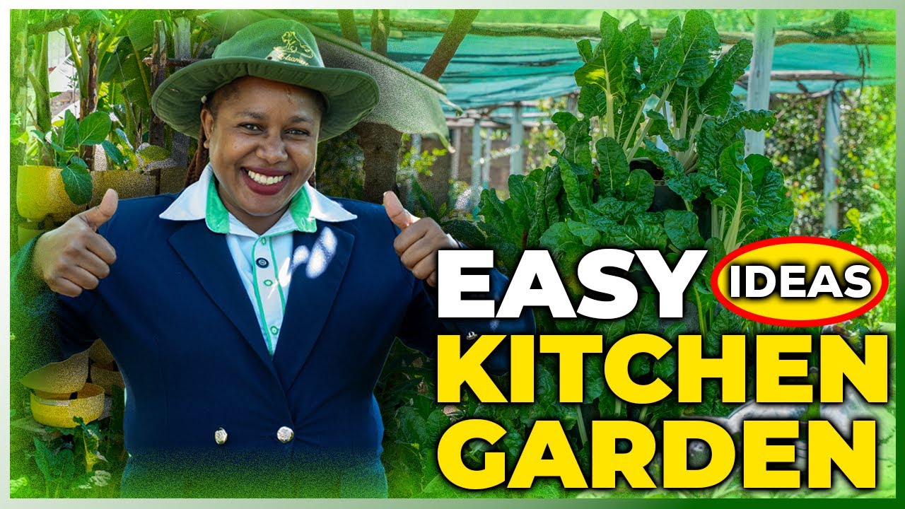 High Profit Vegetable Farming for Beginners at Home (Easy Steps) - YouTube
