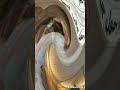 أنا حول جانب أمي وأبي اكسبلور Explore كوريا الجنوبية اشتراك 