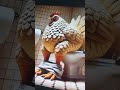 sunny pooping 1