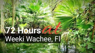 72 HOURS AT : Weeki Wachee , Fl