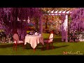 VICTORIAN ERA AFTERNOON TEA AMBIENCE: Cozy Tea in the Garden With Relaxing Nature Sounds