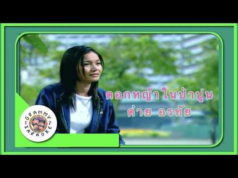 คาราโอเกะ ดอกหญ้าในป่าปูน - ต่าย อรทัย [ Original Karaoke ]