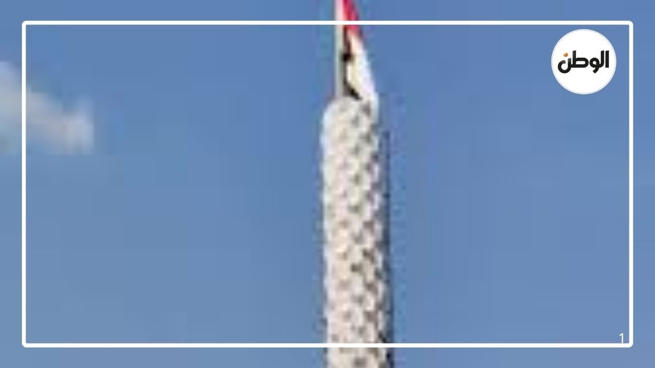 طوله 10 أمتار وبيكسب ملايين.. أطول برج زراعي في العالم مكون من 400 شتلة