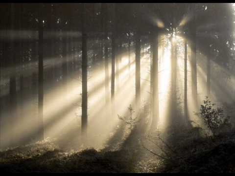 licht und dunkelheit licht und dunkelheit