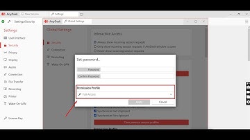 Password Remove from Anydesk