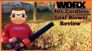 WORX Power Share 40v Cordless Leaf Blower (WG584) Review #worx #leafblower