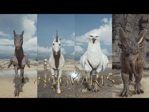 I tried to catch all the magical creatures. The phoenix and