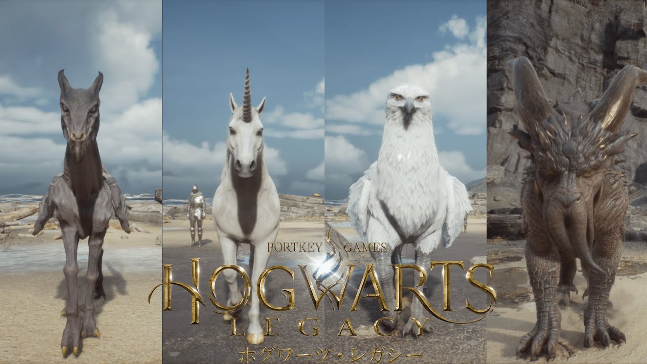 I tried to catch all the magical creatures. The phoenix and