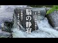【耳鳴り音響療法】聴くだけで自律神経が整う。1/fゆらぎで深い眠りとストレス緩和