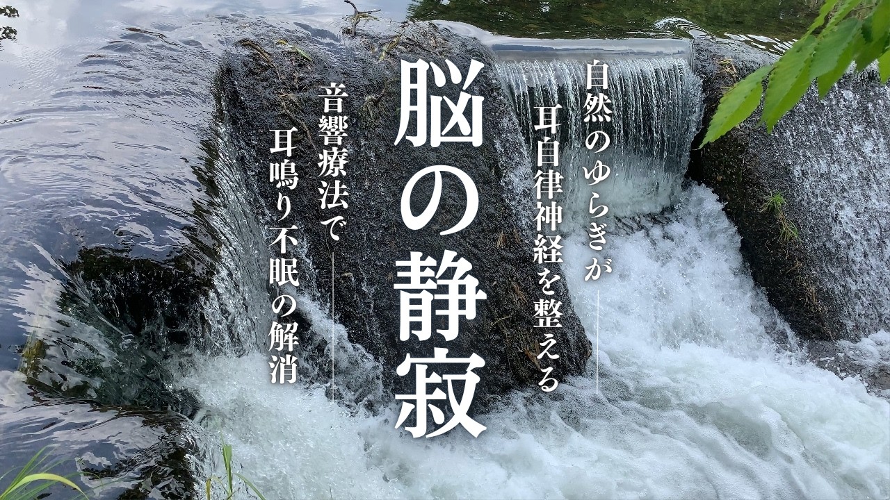 【耳鳴り音響療法】聴くだけで自律神経が整う。1/fゆらぎで深い眠りとストレス緩和