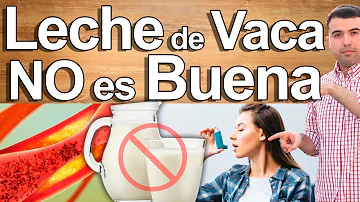 ¿Se puede beber leche directamente de la vaca?