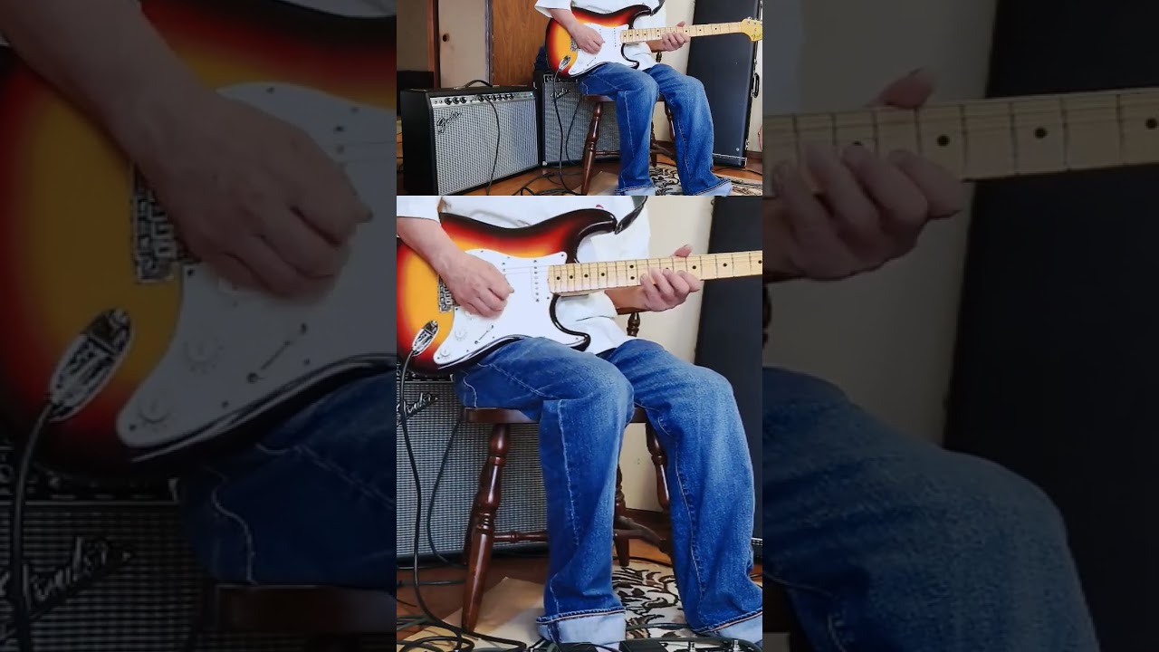 Fender 1969 Stratocaster maple cap♪