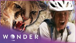 SURVIVING BRUTAL ANIMAL ATTACKS