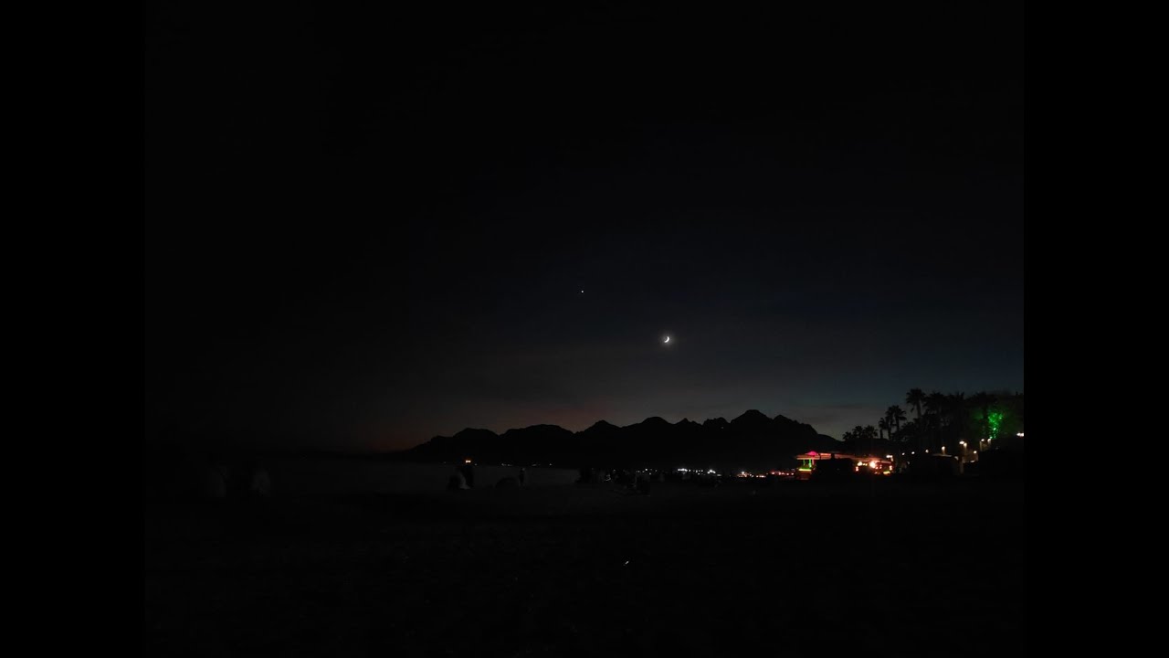 Strangers On A Train - Lost Her To Wolves - Türkçe Çeviri