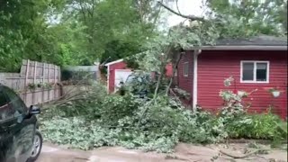 Heavy storm damage across Metro Detroit