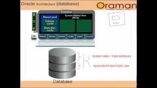 Celebrity oracle database adminstration 2hours class -architecture2 Net Worth