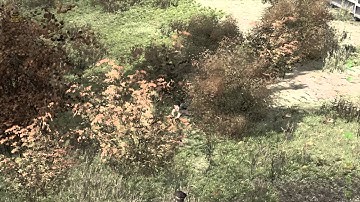 Epoch zombie footage [DayZ / ARMA2]