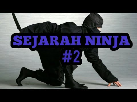 Video: Bisakah saya menggunakan ninja sebagai pengolah makanan?