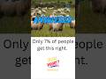 Only 7% Got this Right About New Zealand! | S1Q4 #shorts #short