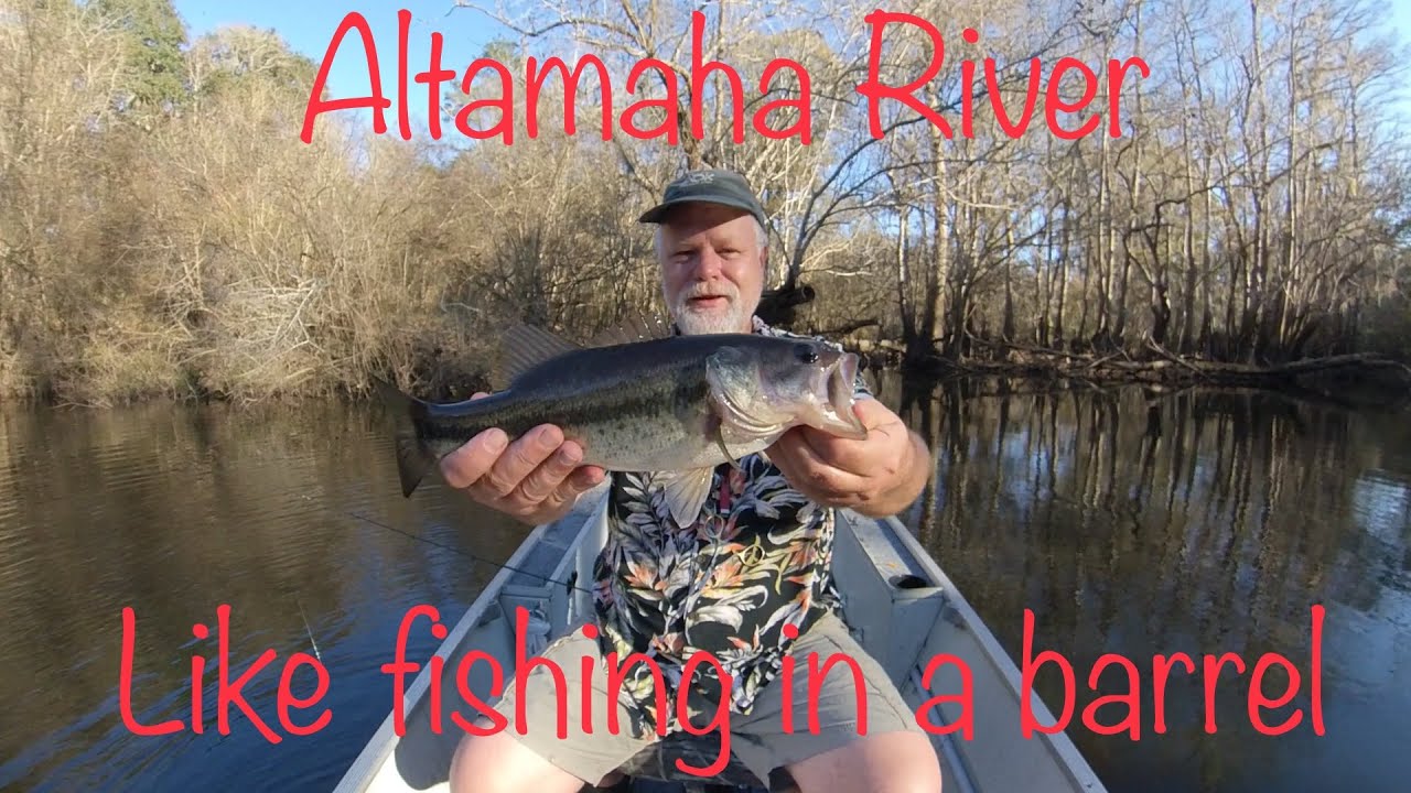Altamaha RiverRubin lakeLike fishing in a barrel YouTube