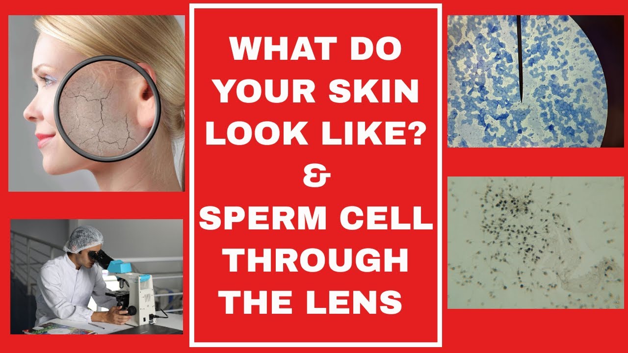 WHAT DO YOUR SKIN AND SPERM CELLS LOOK LIKE UNDER A MICROSCOPE?| SKIN