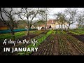 Market Gardening in January (A Day in The Life of a Farmer in January)