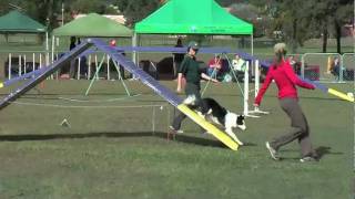 Kwyk Elementary Agility 5/7/09