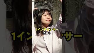 コンデジでこの写りはヤバい