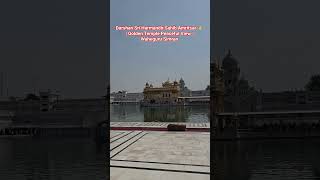 Darshan Sri Harmandir Sahib Amritsar 🙏 | Golden Temple Peaceful View | Waheguru Simran