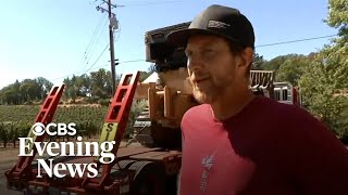 Napa winemaker fears new wildfire after smoke from last blaze tainted grapes