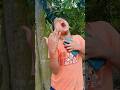 #shorts😆😆#funny #comedy #realfools #monkey #funnycomedy #viralshort #viralvideos #foryou #trending