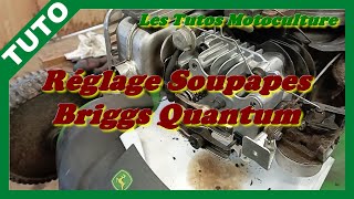 Réglage soupapes Briggs Quantum OHV