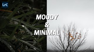 How To Edit MOODY & MINIMAL Style Nature Photos in Lightroom 2021 screenshot 1