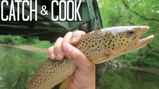 Catch, Clean, Cook. BROWN TROUT!! Fishing White Clay Creek in Late May!